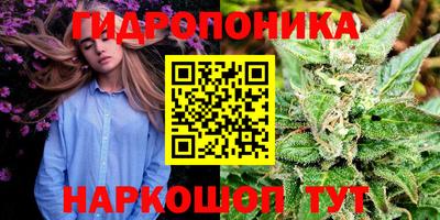 молекула духа Кандалакша