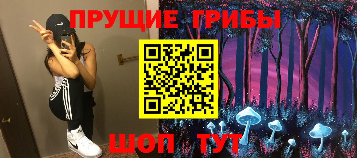 Галлюциногенные грибы Psilocybe Куйбышев