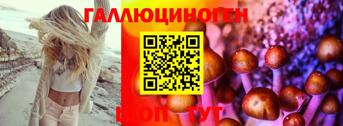Куйбышев  Галлюциногенные грибы Psilocybe  как найти закладки  Вход с VPN 