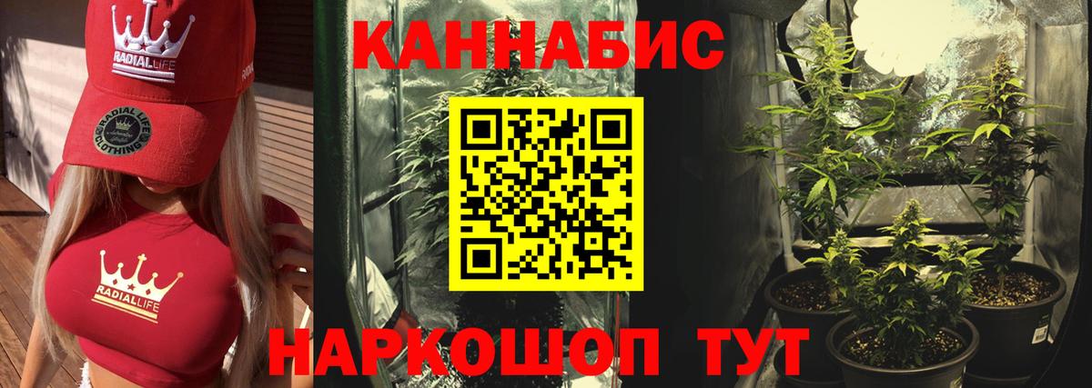 Канабис сатива Куйбышев